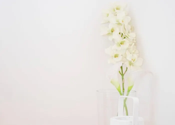 Appartamento Liiiving In - Garden Light Mezzanine Oporto